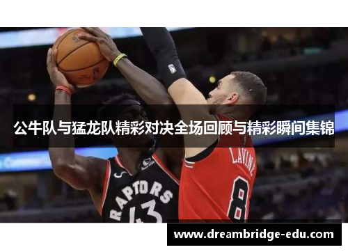 公牛队与猛龙队精彩对决全场回顾与精彩瞬间集锦