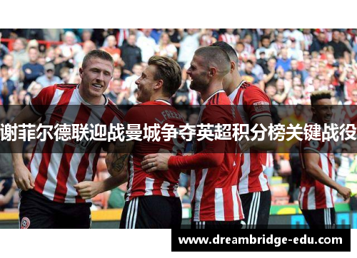 谢菲尔德联迎战曼城争夺英超积分榜关键战役