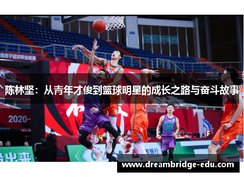 陈林坚：从青年才俊到篮球明星的成长之路与奋斗故事