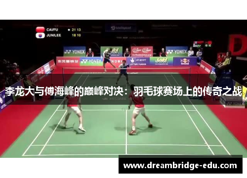 李龙大与傅海峰的巅峰对决：羽毛球赛场上的传奇之战
